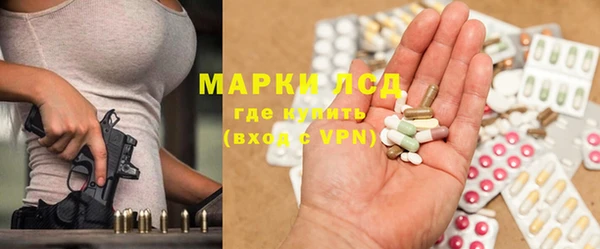 ALPHA PVP Ельня