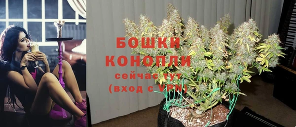 ALPHA PVP Ельня
