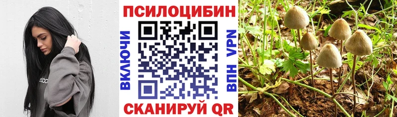Псилоцибиновые грибы Psilocybine cubensis Купить где Киреевск